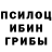 Галлюциногенные грибы Cubensis Galina Mozeiko
