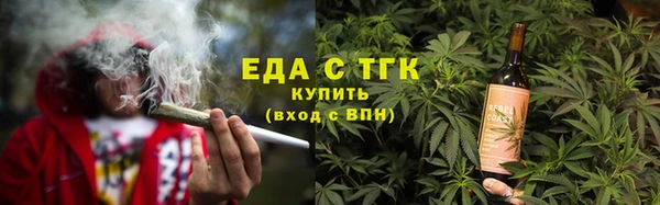 индика Киреевск