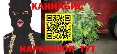 стаф Берёзовский