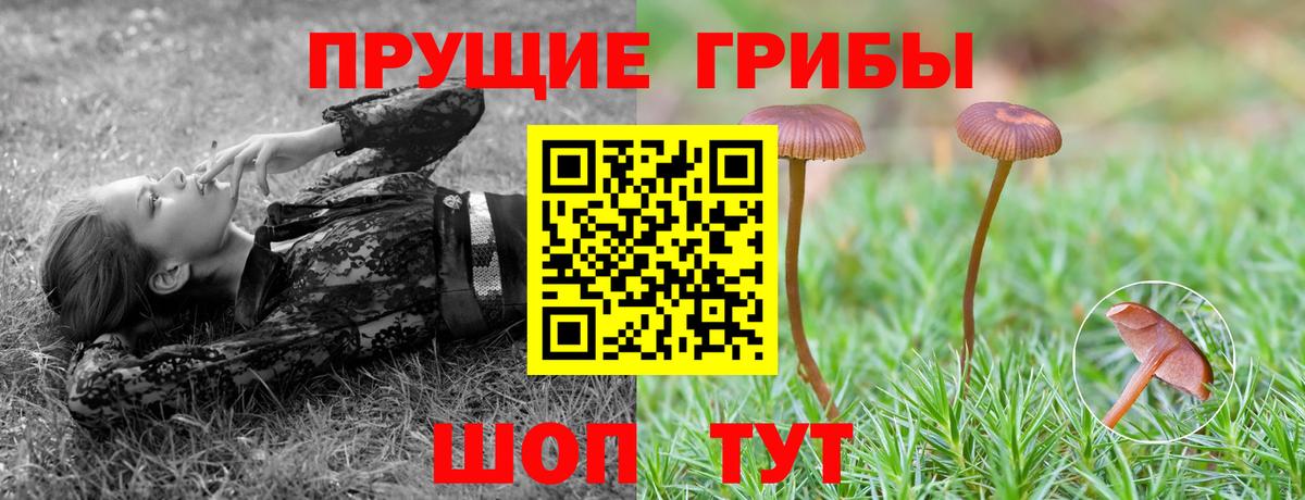Галлюциногенные грибы Magic Shrooms Ленинск-Кузнецкий