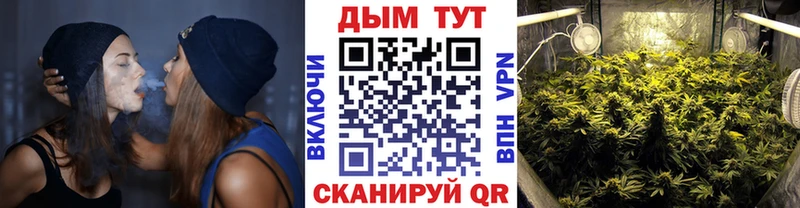 Бошки марихуана сатива  Ленинск-Кузнецкий 